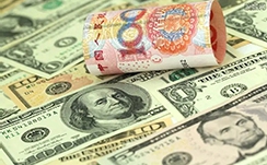 可以用冰冻梭子蟹煮粥吗